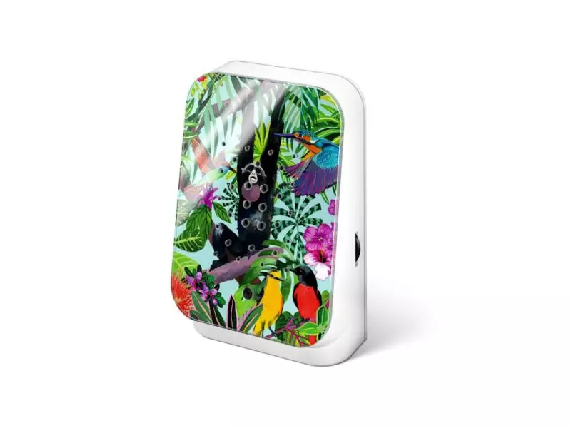 zwitscherbox_jungle_2