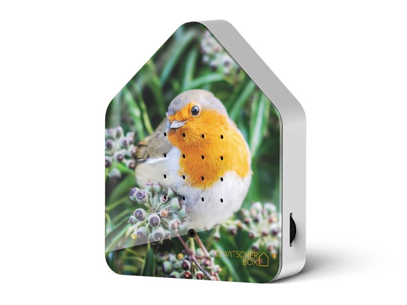zwitscherbox_roodborstje